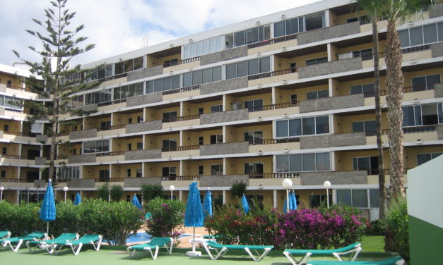 Los Tilos: Mein 4. Urlaub auf Gran Canaria